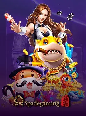 MIXZEED คาสิโนเว็บตรง รวมทุกเกมชั้นนำ เทคนิคทำเงินได้จริง 2026